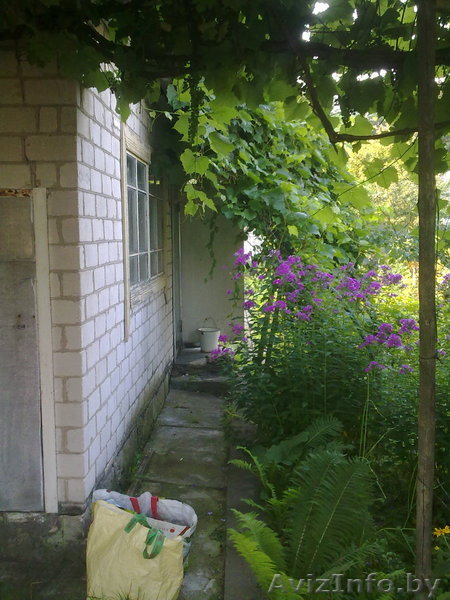 Продам срочно отличную дачу недорого - Изображение #1, Объявление #1084208