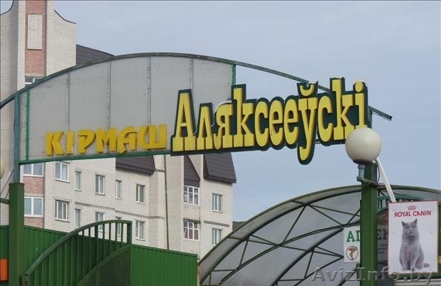 ТОРГОВЫЙ ПАПИЛЬОН АЛЕКСЕЕВСКИЙ РЫНОК - Изображение #1, Объявление #1263131