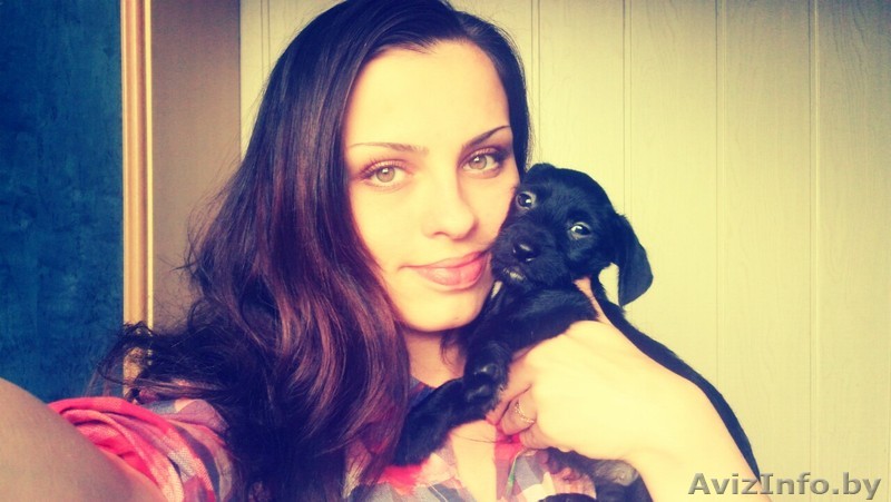 Полупородистый Щеночек - Изображение #1, Объявление #1286553