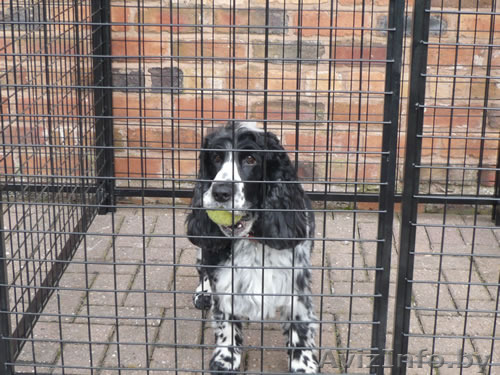 Вольер из сетки - Изображение #1, Объявление #1482402