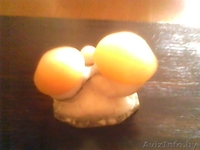 Декоративные грибки - Изображение #5, Объявление #325359