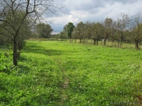 Продается дом в д.Туховичи. - Изображение #3, Объявление #388436