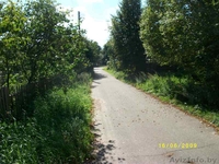 Продам Срочно недорого дом в деревне савцавичи 25 соток земли 120 км от минска п - Изображение #2, Объявление #752099