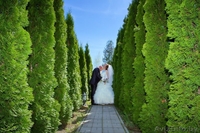 Студия праздникаFresh Sight - Изображение #4, Объявление #831786