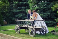 Студия праздникаFresh Sight - Изображение #5, Объявление #831786