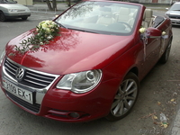 Свадебный кабриолет - Изображение #2, Объявление #874328