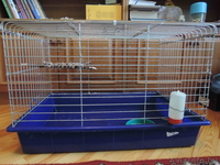 Клетка для домашних питомцев - Изображение #1, Объявление #1090752