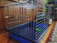 Клетка для домашних питомцев - Изображение #2, Объявление #1090752