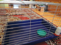 Клетка для домашних питомцев - Изображение #3, Объявление #1090752