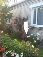 Дом м-н восточный - Изображение #2, Объявление #1189936