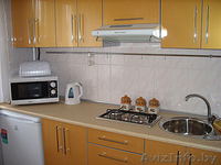 На сутки,часы 1-ком. квартира в самом центре по ул.Ленина 8 с Wi-Fi.Отчетные док - Изображение #9, Объявление #1289921