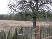 Продам добротный дом в деревне Ямично, Барановичского р-на,  - Изображение #3, Объявление #1354752