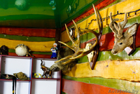 Дом баня на сутки часы с бильярдом и теннисом Барановичи - Изображение #7, Объявление #1401196