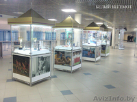 ИЗГОТОВИМ И УСТАНОВИМ ЛЮБУЮ ВИЗУАЛЬНУЮ РЕКЛАМУ - Изображение #3, Объявление #1478023