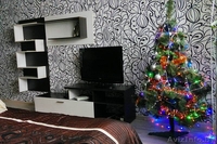 Квартира на сутки в Барановичах (Боровки) - Изображение #1, Объявление #1642977