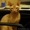Элитный кот породы Донской сфинск ищет подругу для вязки! - Изображение #2, Объявление #186863