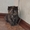 Отдам персидских котят за символическую плату - Изображение #1, Объявление #269015