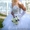 Белое1 свадебное платье - Изображение #2, Объявление #505441
