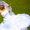 Ооооочень красивое свадебное платье #544327