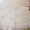 Свадебное платье цвета шампань - Изображение #1, Объявление #628701