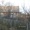 Продам Срочно недорого дом в деревне савцавичи 25 соток земли 120 км от минска п #752099