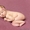 Фотограф новорожденных. Детский фотограф - Изображение #2, Объявление #487532