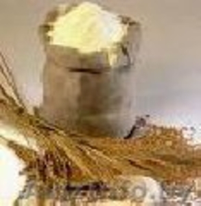 Мука пшеничная в/с,1/с, 2/с, ржаная обдирная - Изображение #1, Объявление #49263