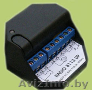 Радиоуправление для ворот,  роллет,  освещения