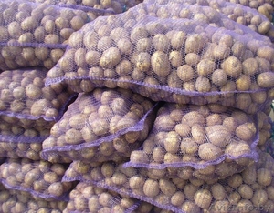 Картофель оптом и в розницу (с доставкой из Барановичей)