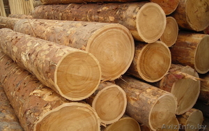 Пиловочник хвойных пород 26 см и более