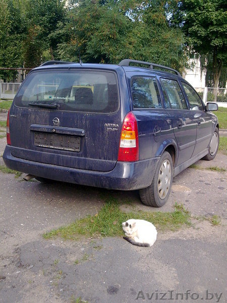 саша моя электронная почта- davidovich.ilya@yandex.ru - Изображение #2, Объявление #78400