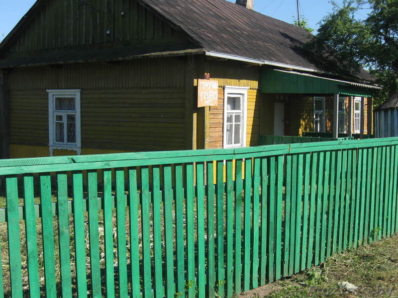 дом в деревне рядом озеро и лес - Изображение #2, Объявление #286149