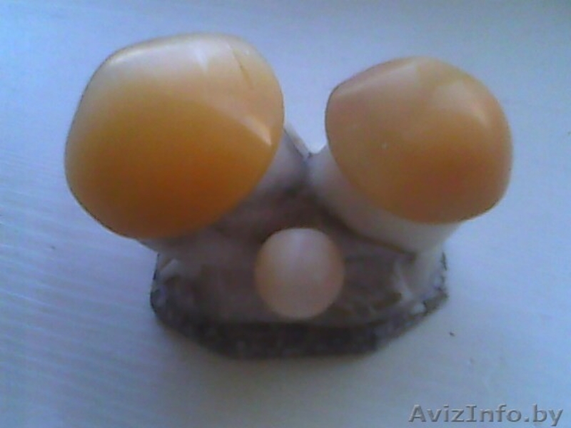 Декоративные грибки - Изображение #4, Объявление #325359