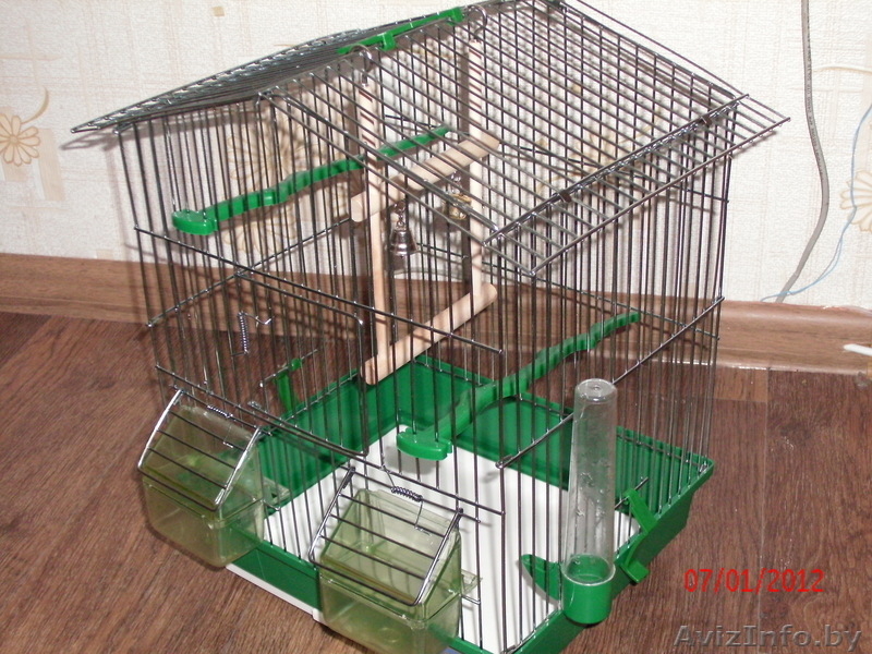 КЛЕТКА ДЛЯ ВОЛНИСТОГО ПОПУГАЯ - Изображение #1, Объявление #488550