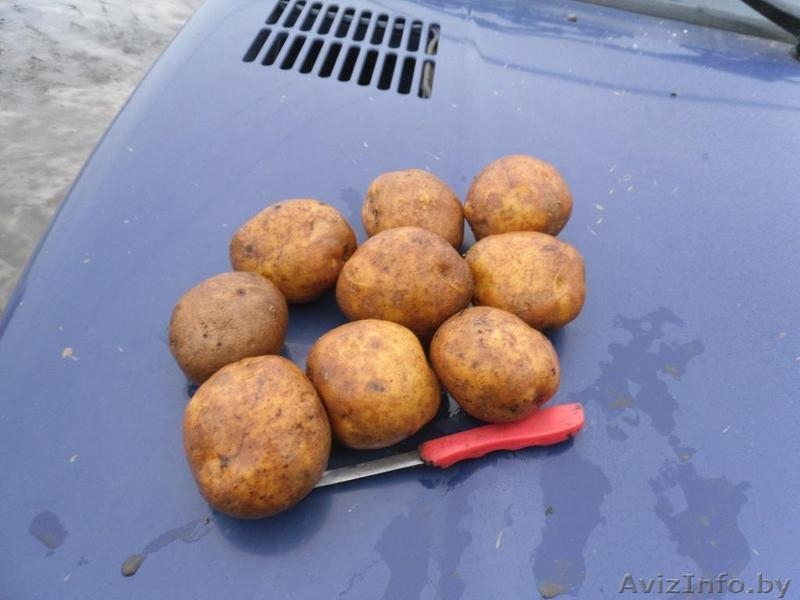 ОАО "Ляховичский райагросервис" - Изображение #1, Объявление #596025