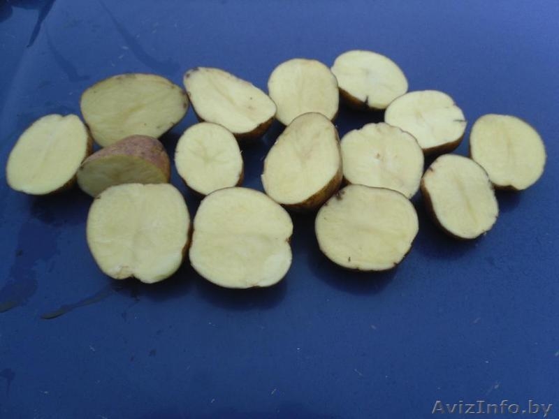 ОАО "Ляховичский райагросервис" - Изображение #2, Объявление #596025