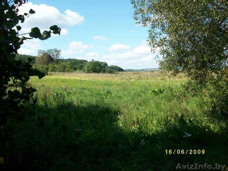 Продам Срочно недорого дом в деревне савцавичи 25 соток земли 120 км от минска п - Изображение #4, Объявление #752099