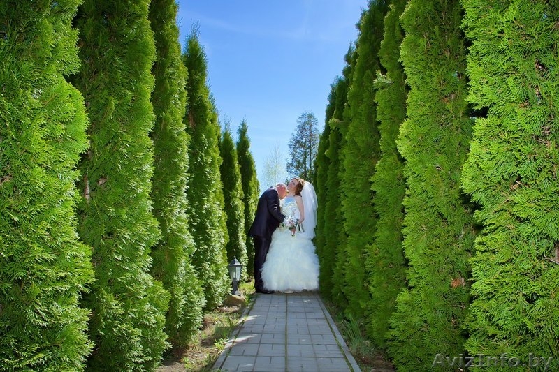 Студия праздникаFresh Sight - Изображение #4, Объявление #831786