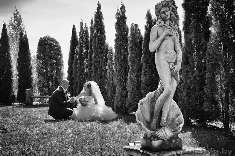 Студия праздникаFresh Sight - Изображение #6, Объявление #831786