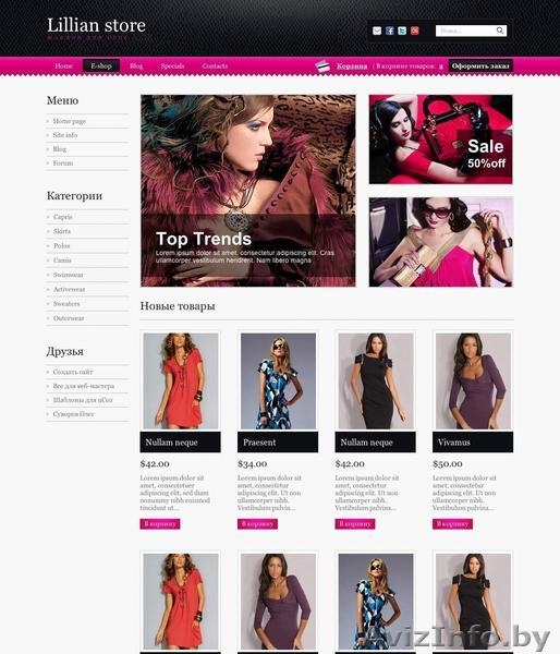 Создание и продвижение интернет сайтов в РБ и РФ - Изображение #2, Объявление #823000