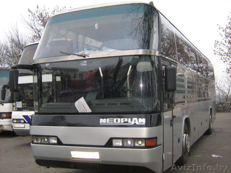 Пассажирские перевозки. Неоплан, Сетра, Маз. - Изображение #3, Объявление #841947