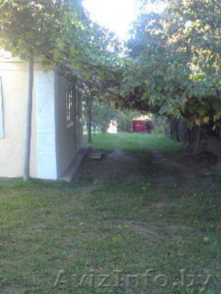 Продам дом в 7 км от г.Барановичи - Изображение #7, Объявление #1064052