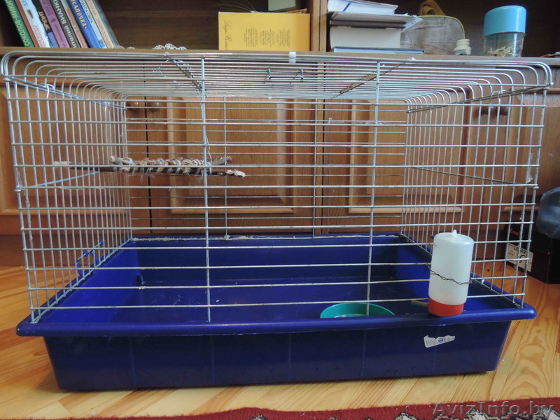 Клетка для домашних питомцев - Изображение #1, Объявление #1090752
