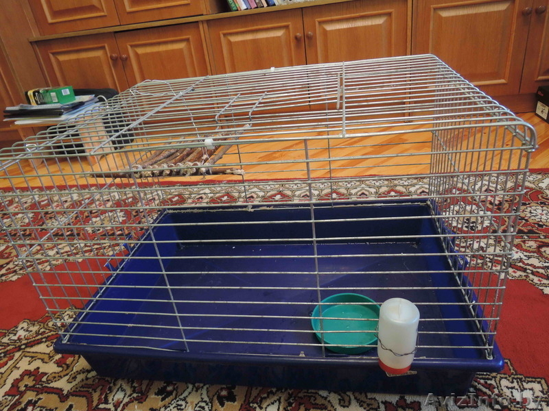 Клетка для домашних питомцев - Изображение #4, Объявление #1090752