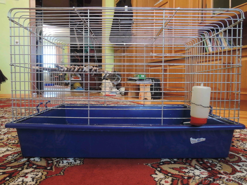 Клетка для домашних питомцев - Изображение #5, Объявление #1090752