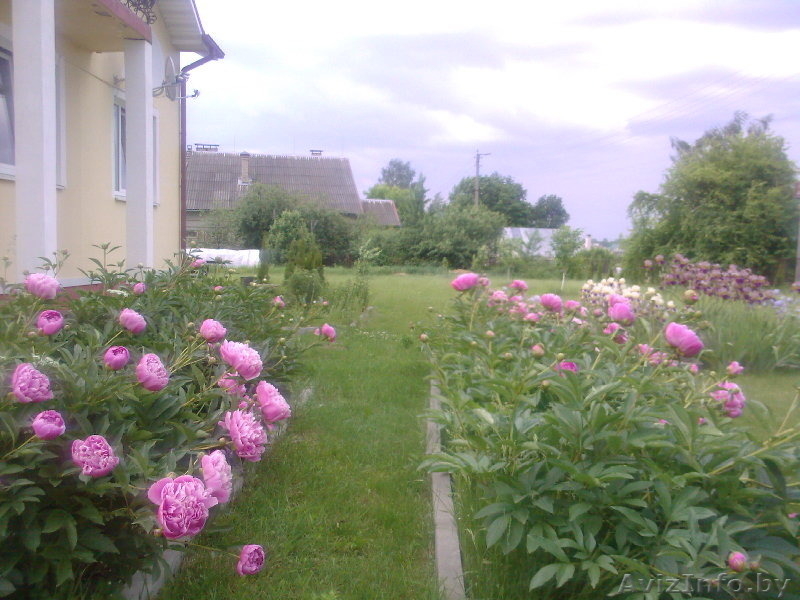 Коттедж в 140 км от Минска, в элитном р-не г. Барановичи - Изображение #6, Объявление #1095849