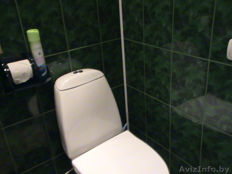 Выбирайте лучшеее! Однокомнатная квартира в самом центре с Wi-Fi - Изображение #10, Объявление #1238926