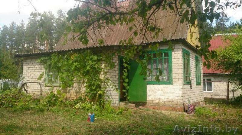 Дача в Полонке  - Изображение #1, Объявление #1315151