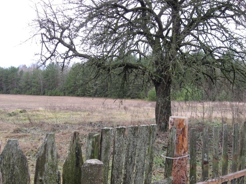 Продам добротный дом в деревне Ямично, Барановичского р-на,  - Изображение #3, Объявление #1354752