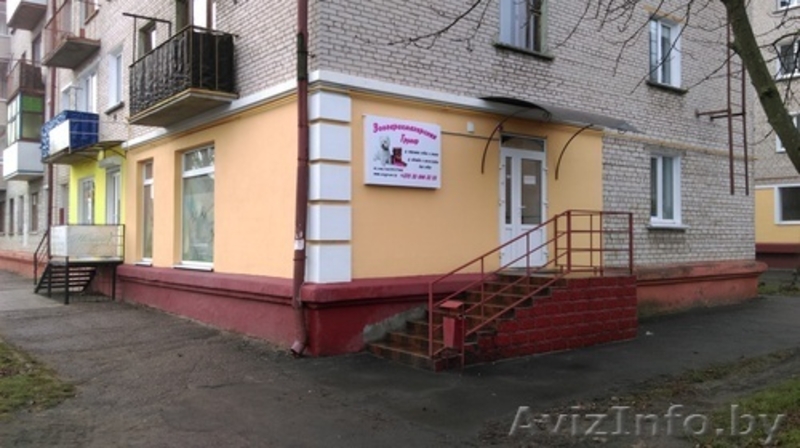 Стрижка собак и кошек(груминг) - Изображение #1, Объявление #1350895